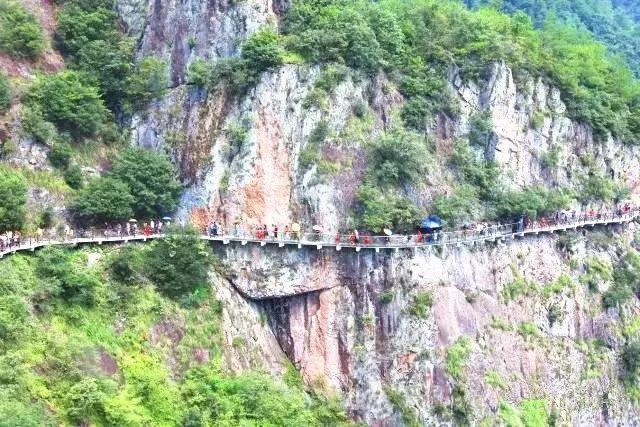 发根白发长出来用黑油染可以吗？游戏画面